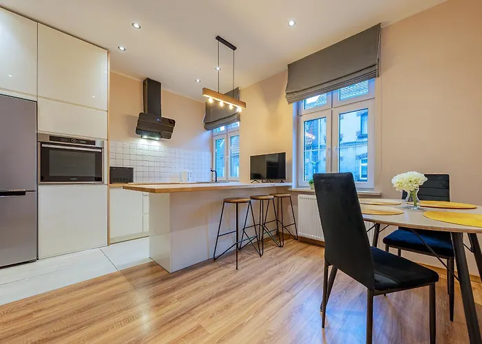 W Sercu Miasta 公寓 格但斯克